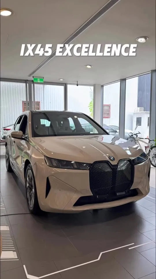 BMW iX45