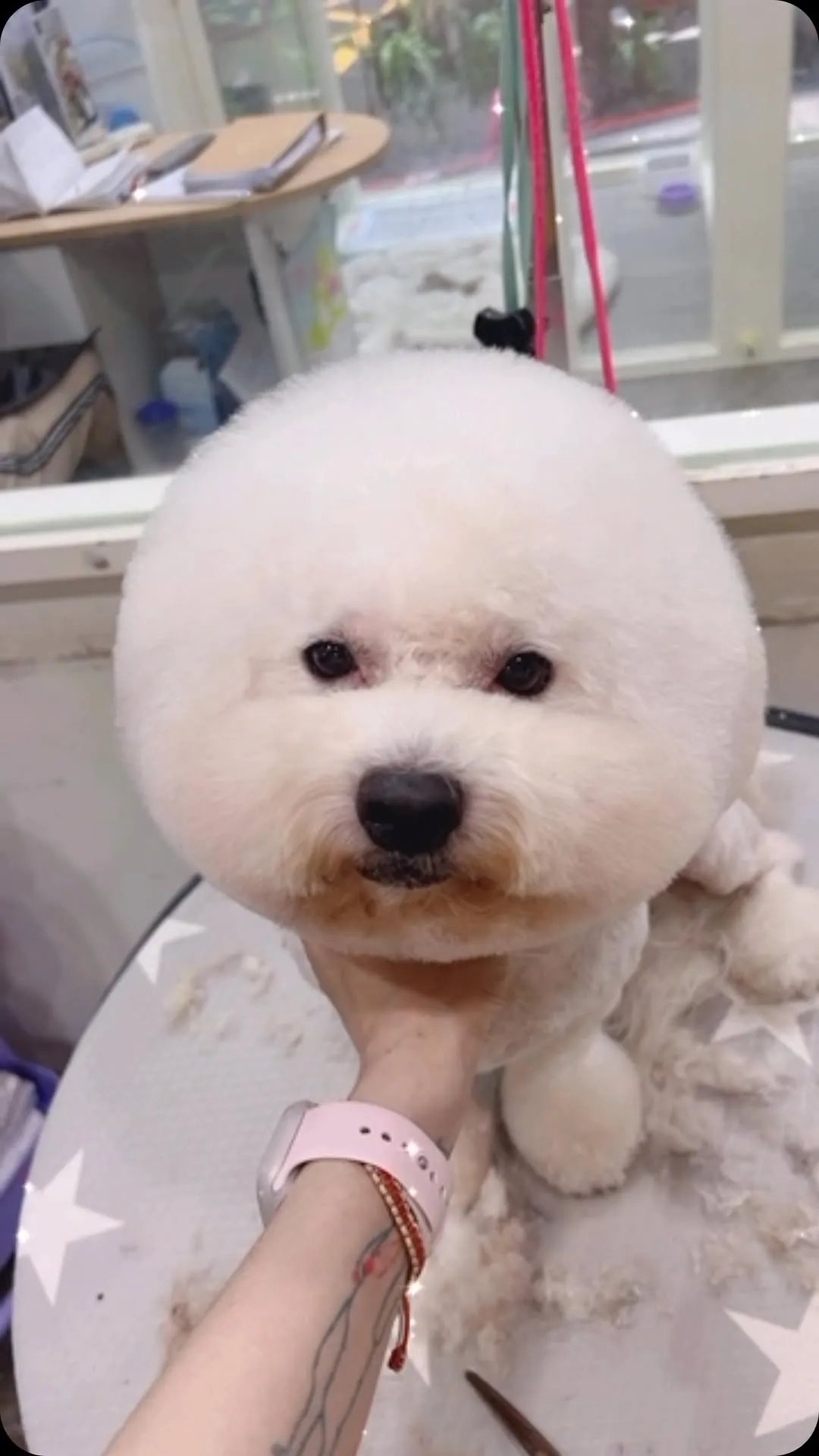 懂眨眼的小寶寶????