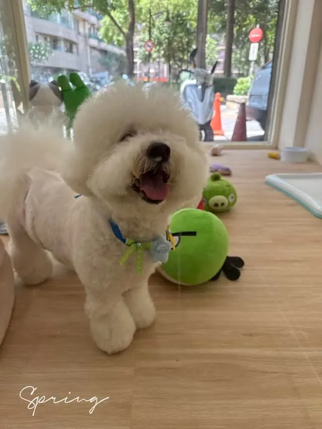 第一次來的白龍寶寶很想找麻麻 想回家 