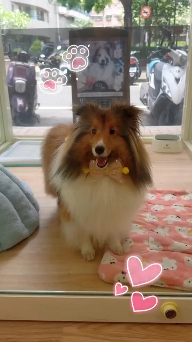 超級口愛的Luna❤️