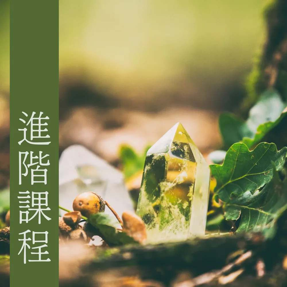 生命靈數【進階】