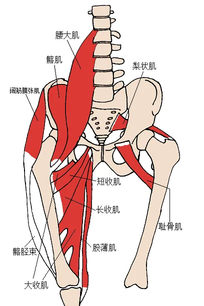 運動整復  運動傷害  運動按摩  運動矯正  運動喬骨  運動推拿是什麼?/運動整復,雲林運動整復