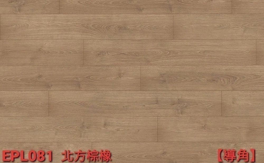 北方棕橡