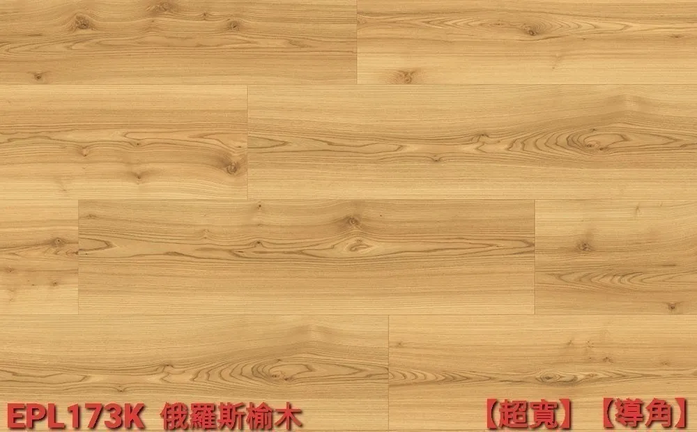 俄羅斯榆木