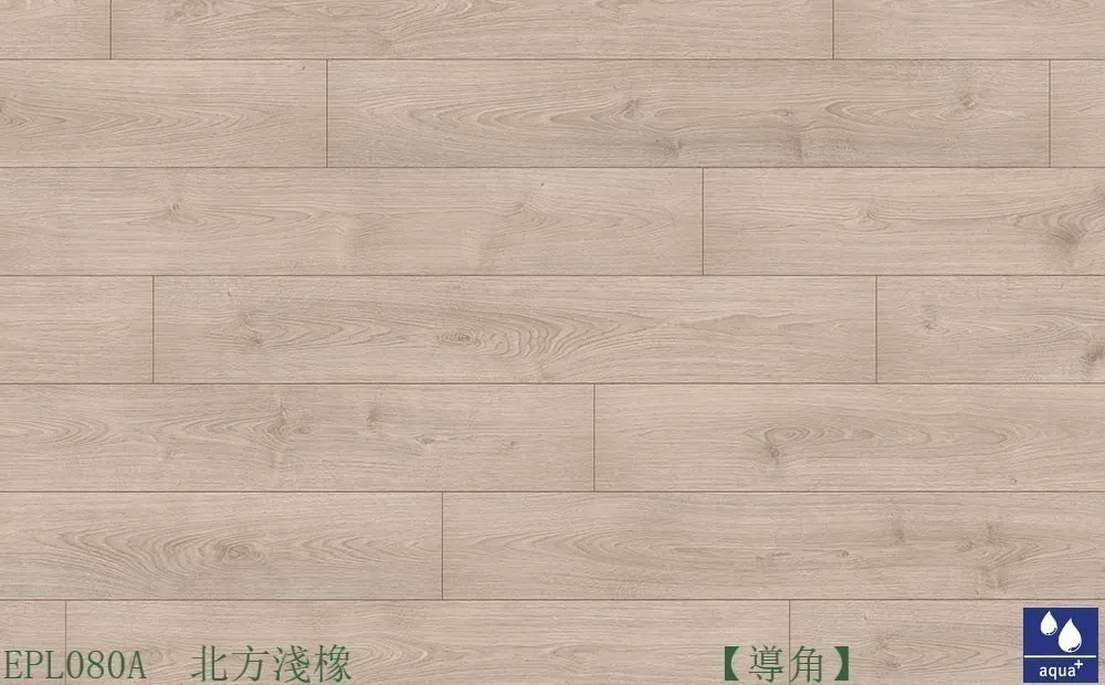 北方淺橡