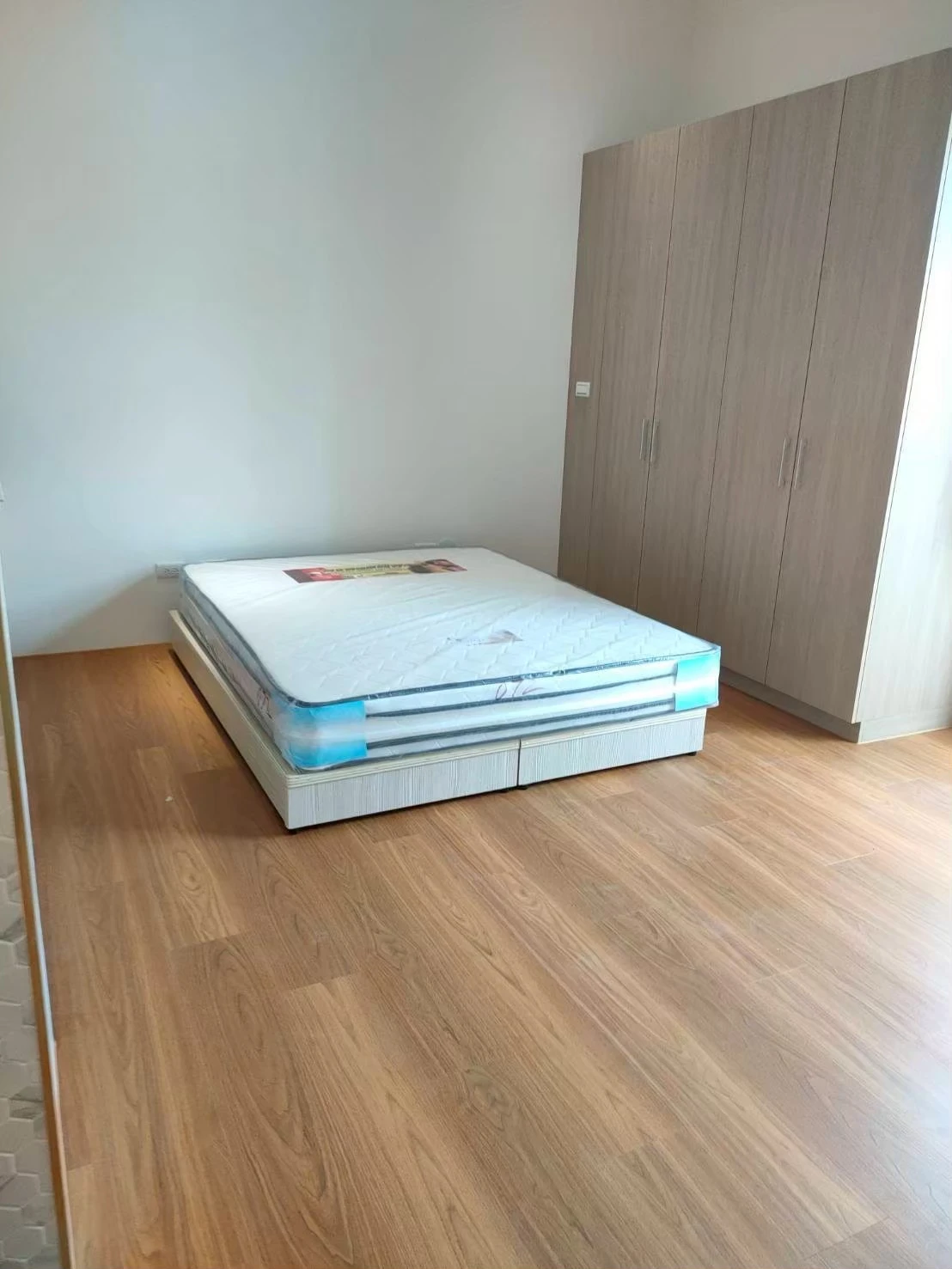 EWH-7643 加州金胡桃