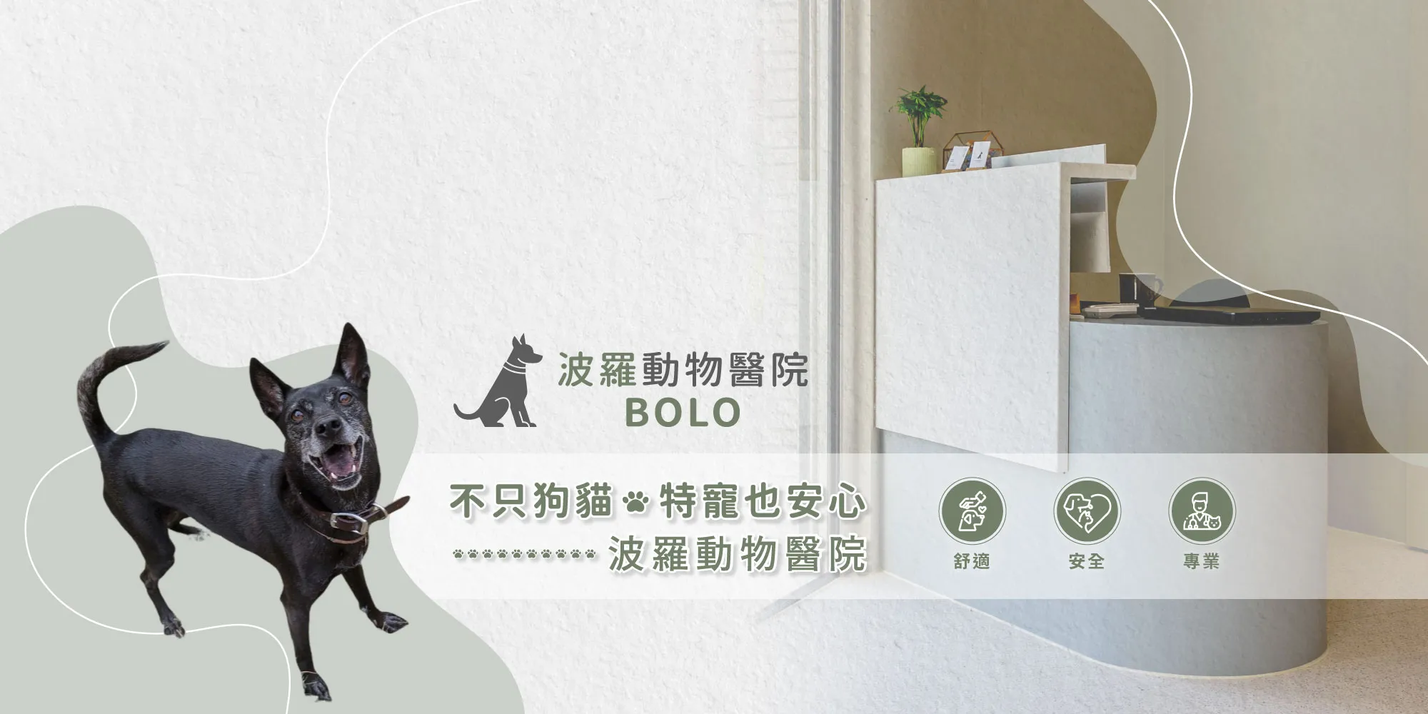 波羅動物醫院-動物醫院,動物牙科,台南動物醫院,台南動物牙科,東區動物醫院,東區動物牙科
