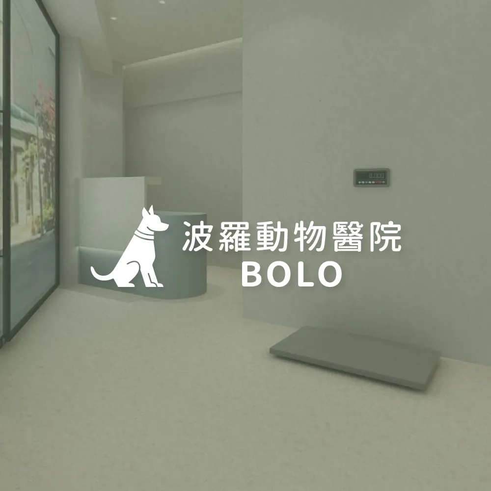 犬貓