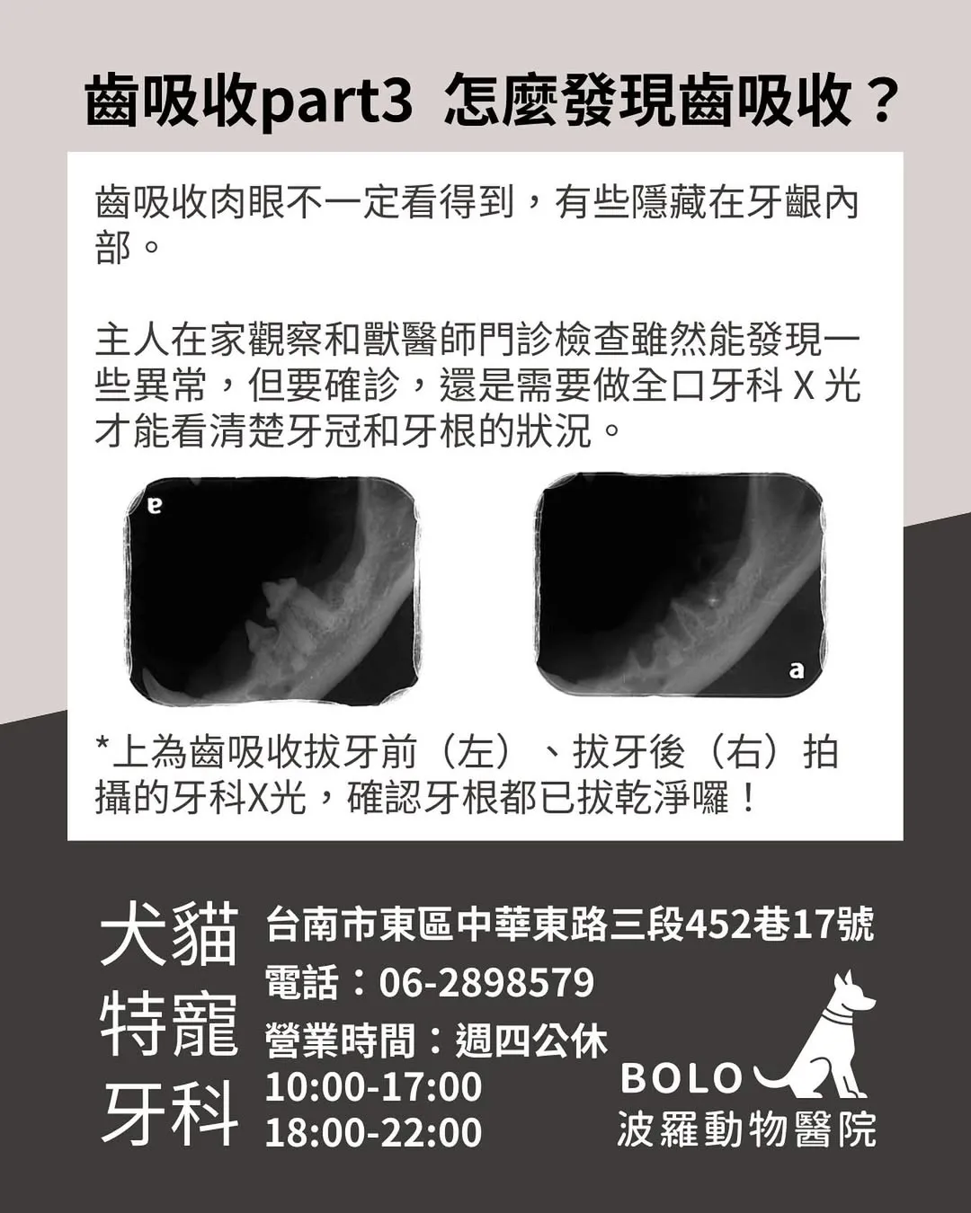 齒吸收part3 怎麼發現齒吸收？