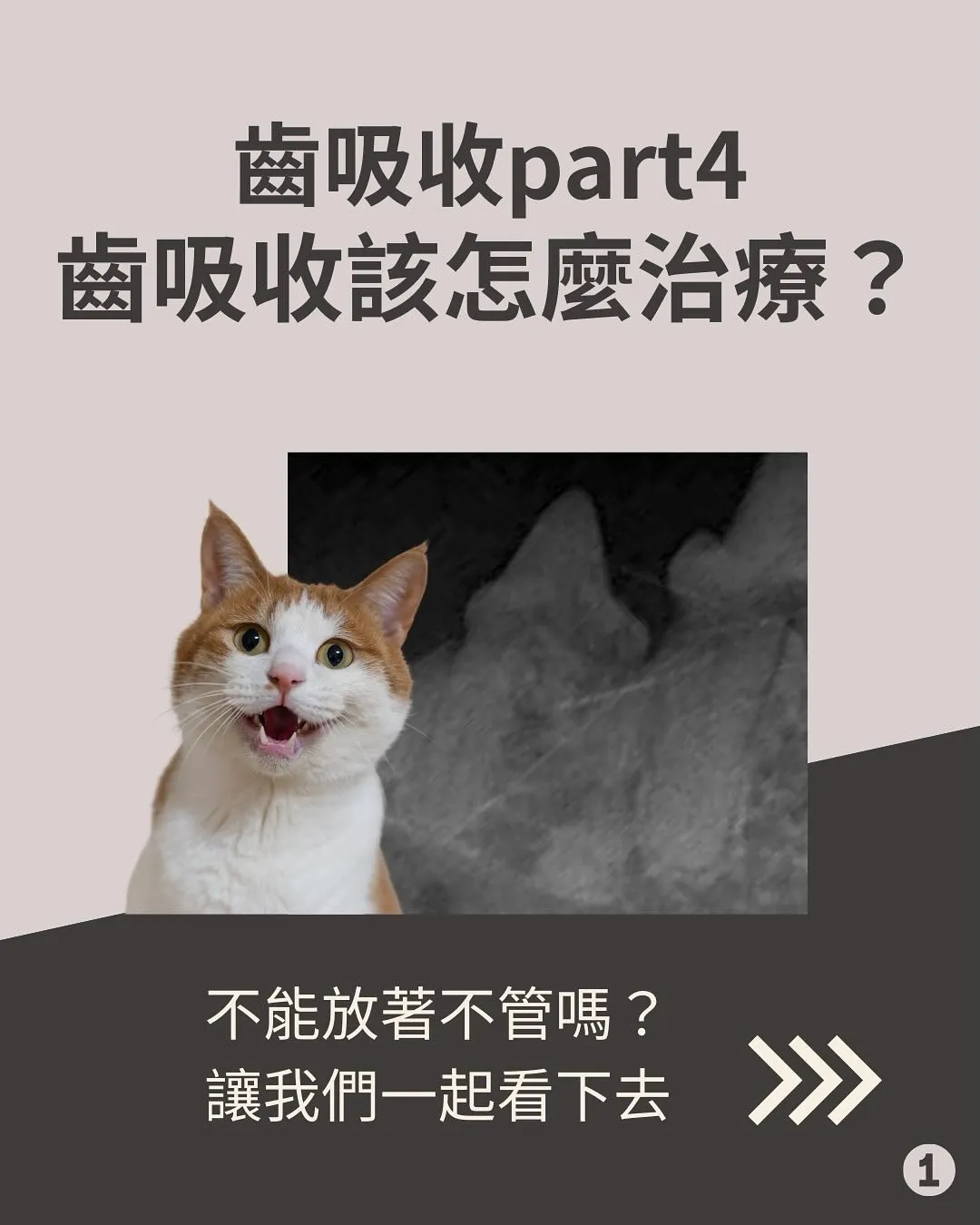 齒吸收Part4 - 齒吸收怎麼治療？為什麼要拔牙？