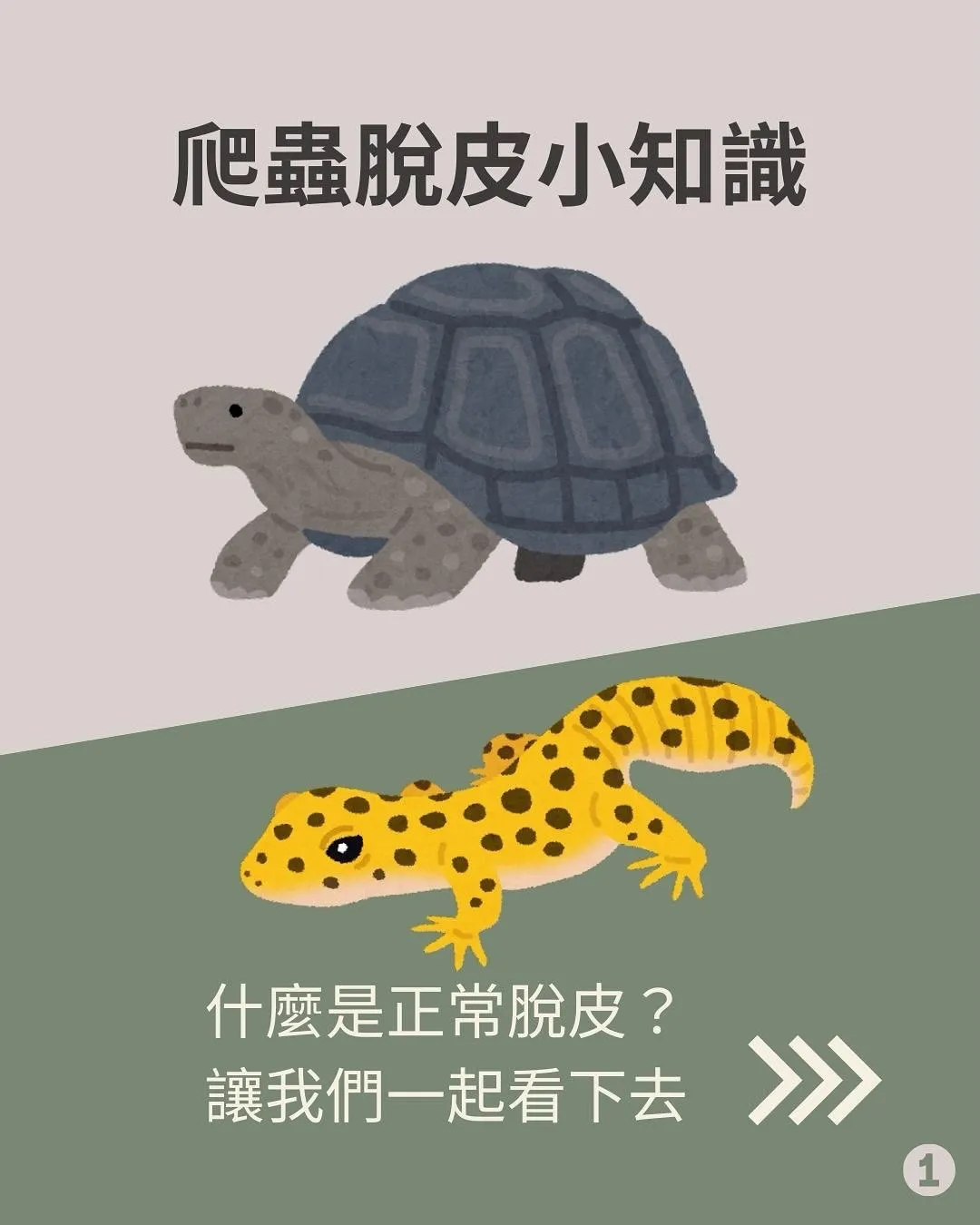 爬蟲脫皮知識小提醒