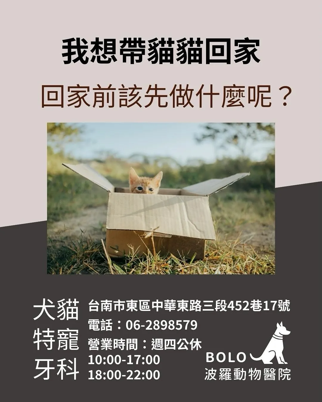 健康檢查的重點有哪些？