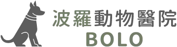 波羅動物醫院-動物醫院,動物牙科,台南動物醫院,台南動物牙科,東區動物醫院,東區動物牙科