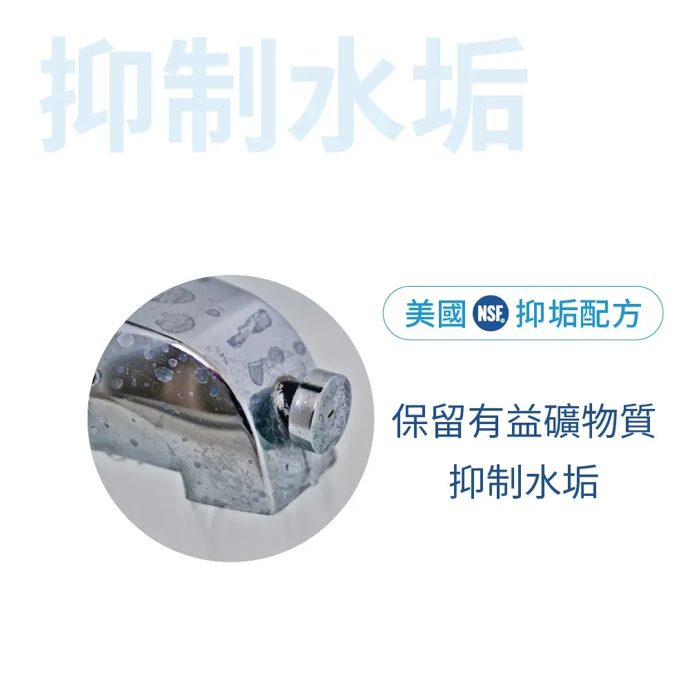 【Supurior 舒沛優】 奈米抗菌除鉛抑垢濾心 SR-RV-01