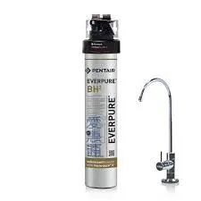 【Everpure 愛惠浦 平輸】 抑垢+銀離子BH2濾心