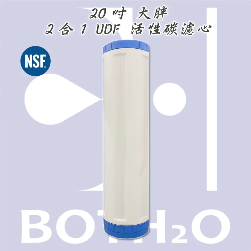 20吋大胖2合1 UDF 活性碳濾心，NSF認證