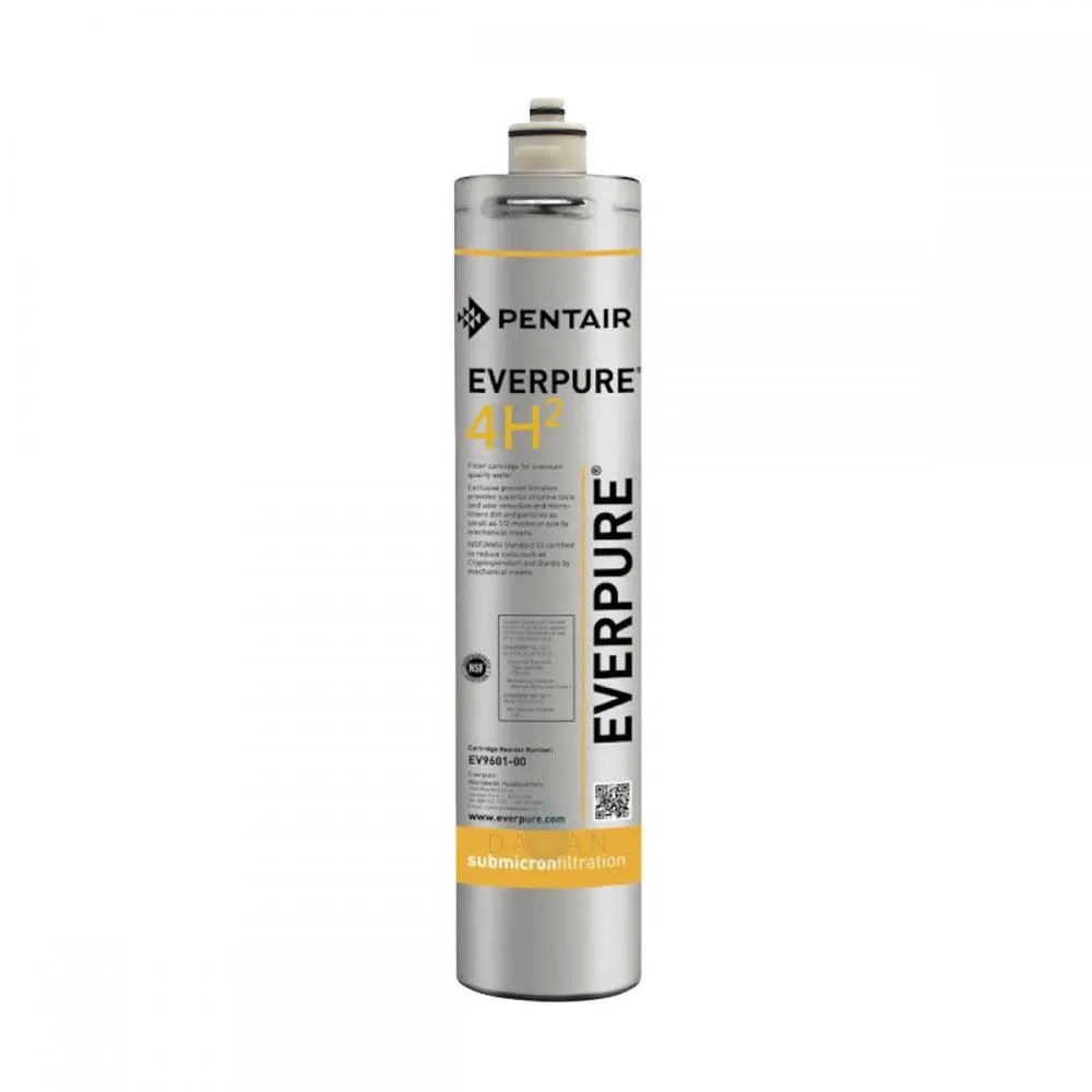 【Everpure 愛惠浦 】4H2 活性碳濾心