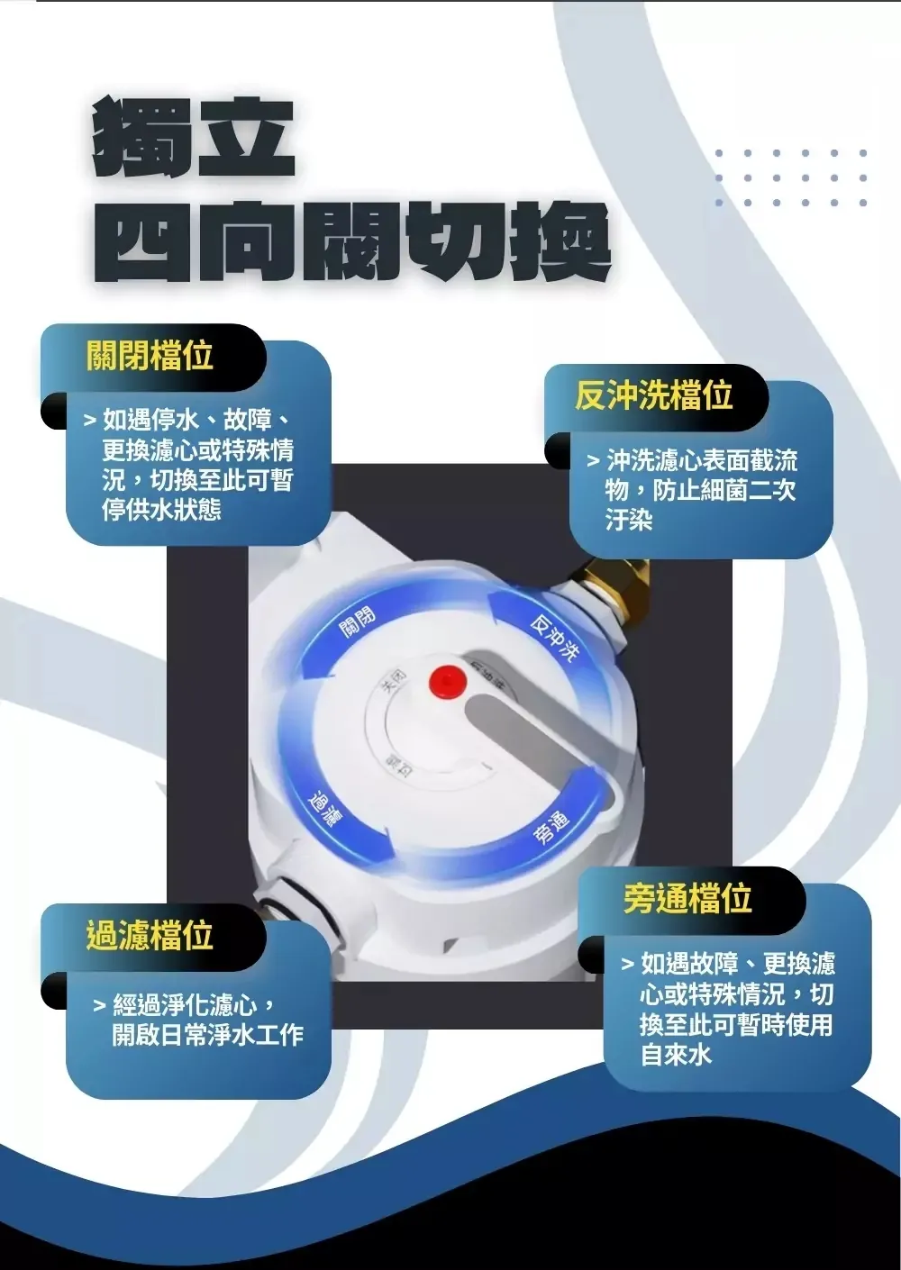 10吋大胖反沖洗中央淨水罐(可開式透明視窗)