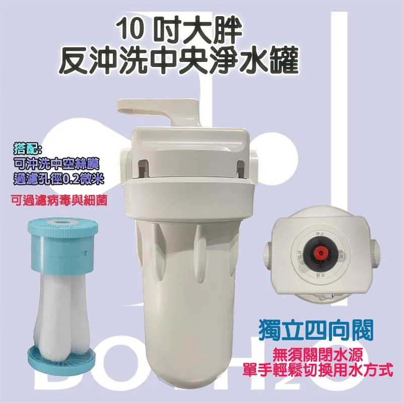 10吋大胖反沖洗中央淨水罐(無開式視窗)