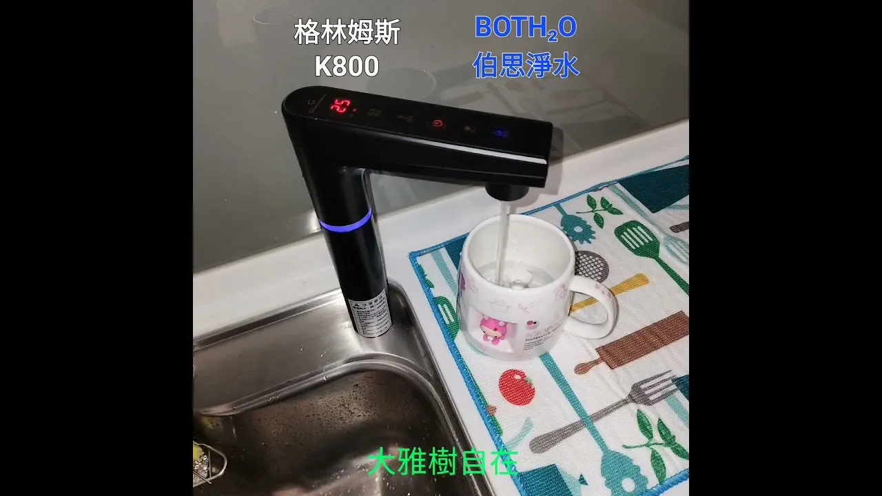 伯思淨水 大雅 樹自在 格林姆斯 k800 廚下飲水機
