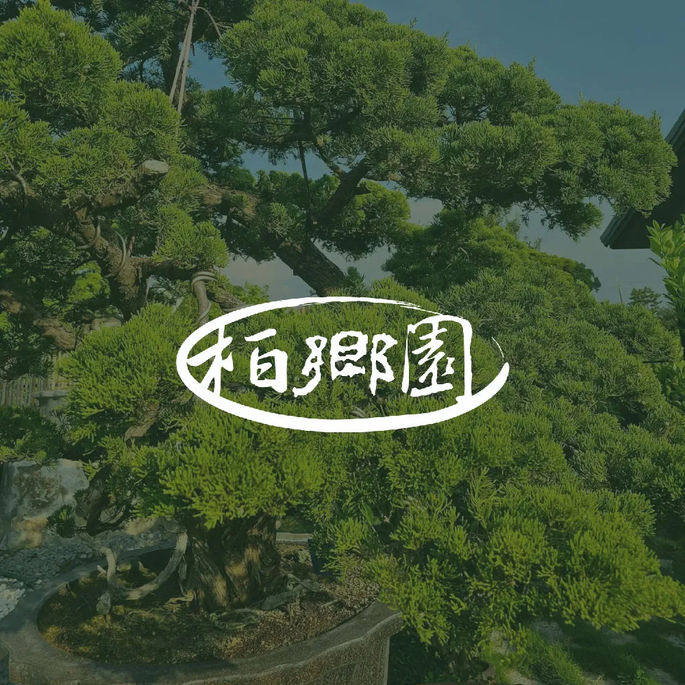商品 C