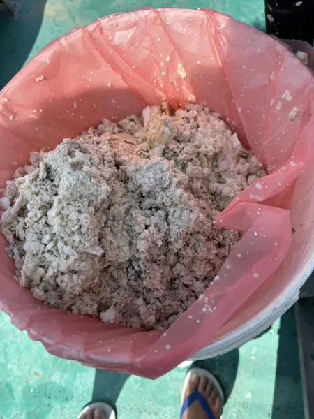 太陽儲水桶清洗