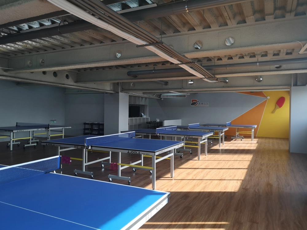 專業桌球訓練室