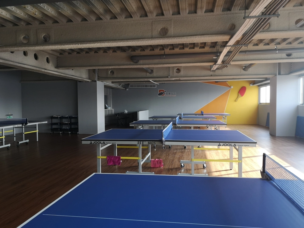 專業桌球訓練室