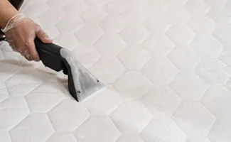 床墊沙發除蟎 (單人床)