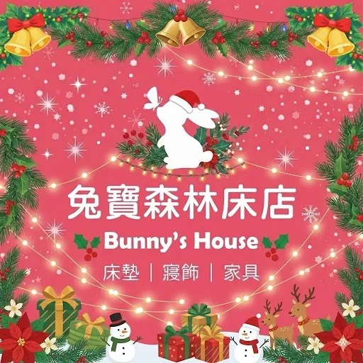 Merry Christmas ❅⋆⁺₊❆