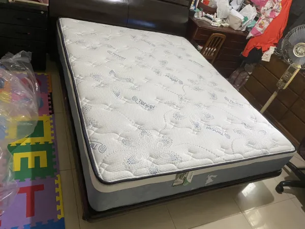 新北市板橋區-桔梗5尺-天絲布乳膠硬式獨立筒床墊-長輩推薦床款