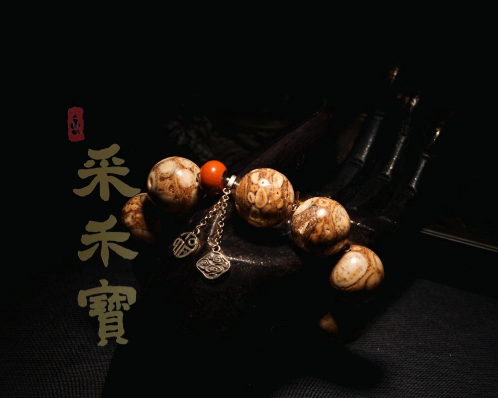 專屬奢華◆兼具優雅