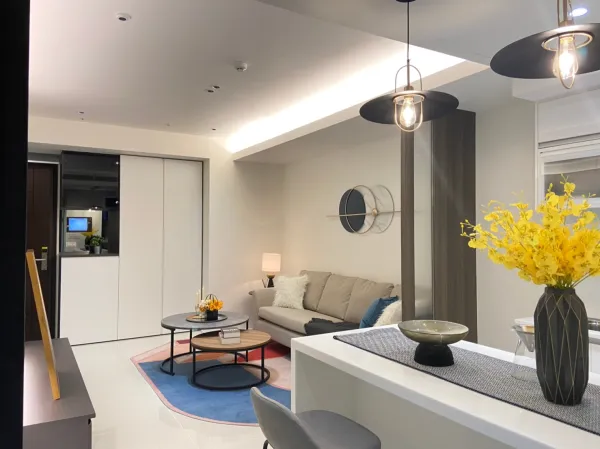 新成屋 林口 B2-24