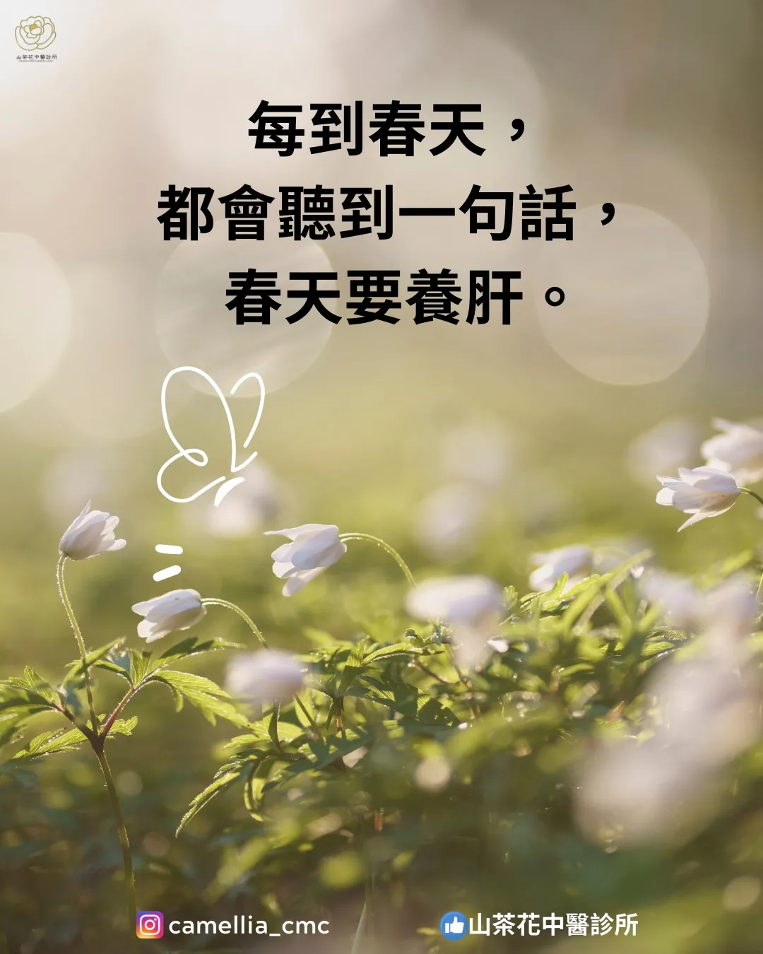 春天養肝，是真的嗎？