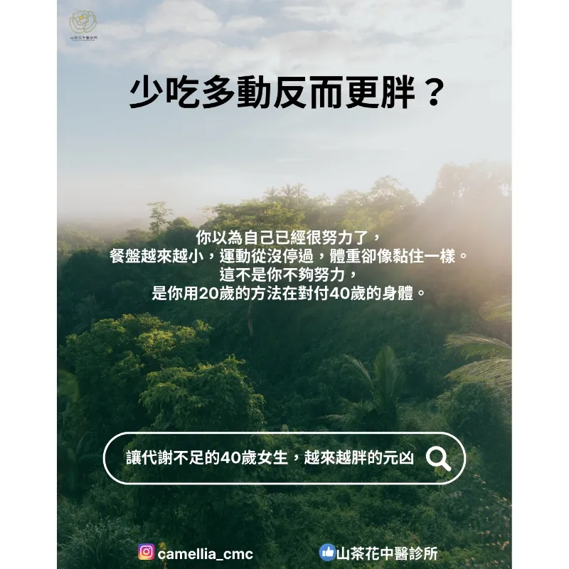 少吃多動反而更胖？