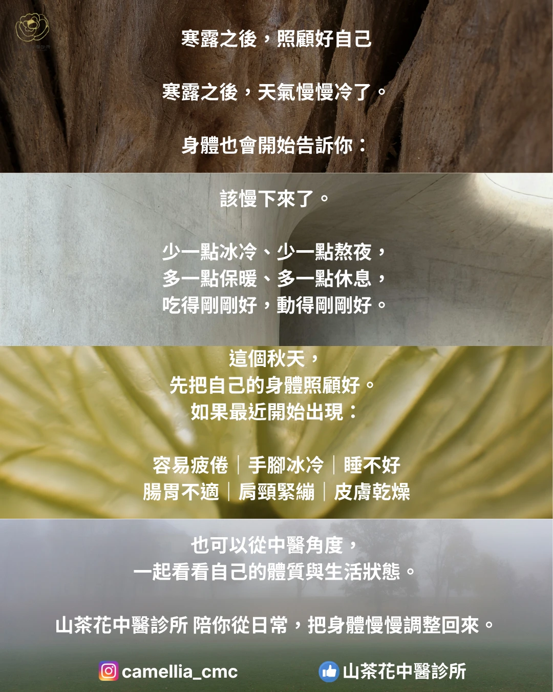 寒露到了，身體開始提醒你：該收一收了