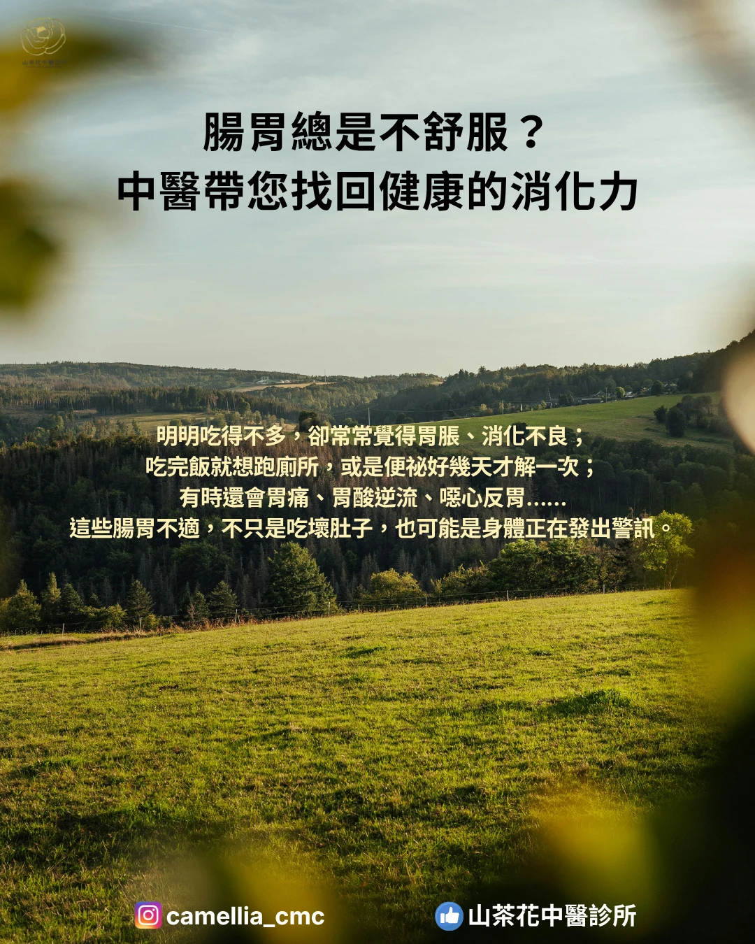 腸胃總是不舒服？中醫帶您找回健康的消化力