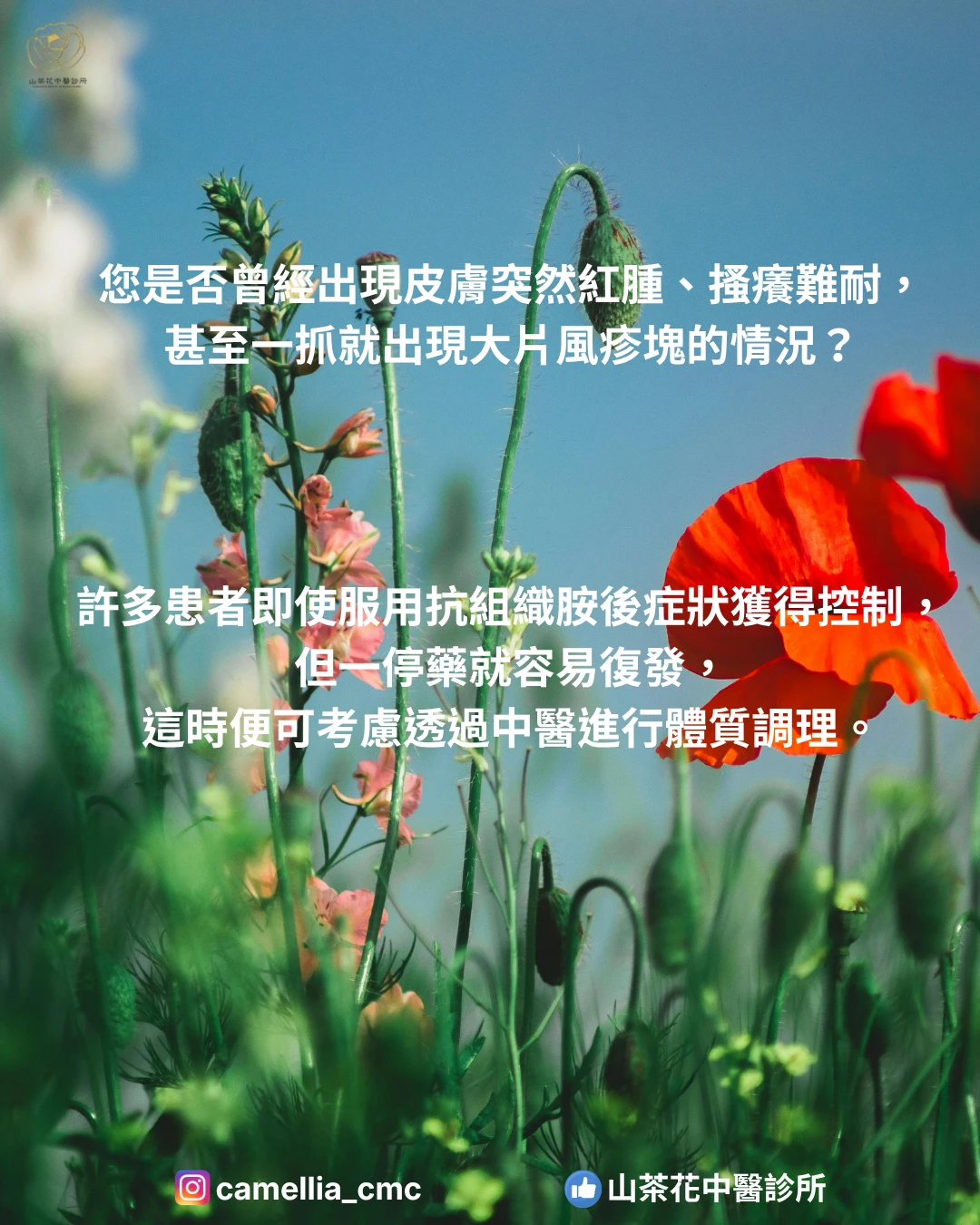 蕁麻疹反覆發作怎麼辦？中醫從體質調理改善過敏問題