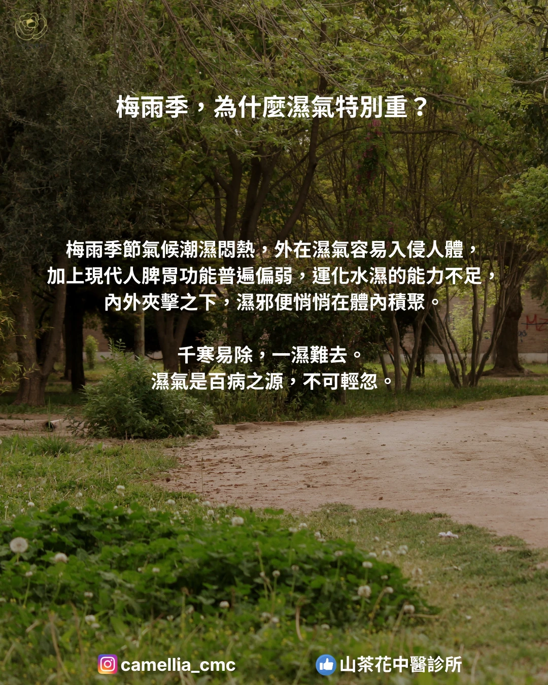 梅雨來了，你的身體變成「水球」了嗎？