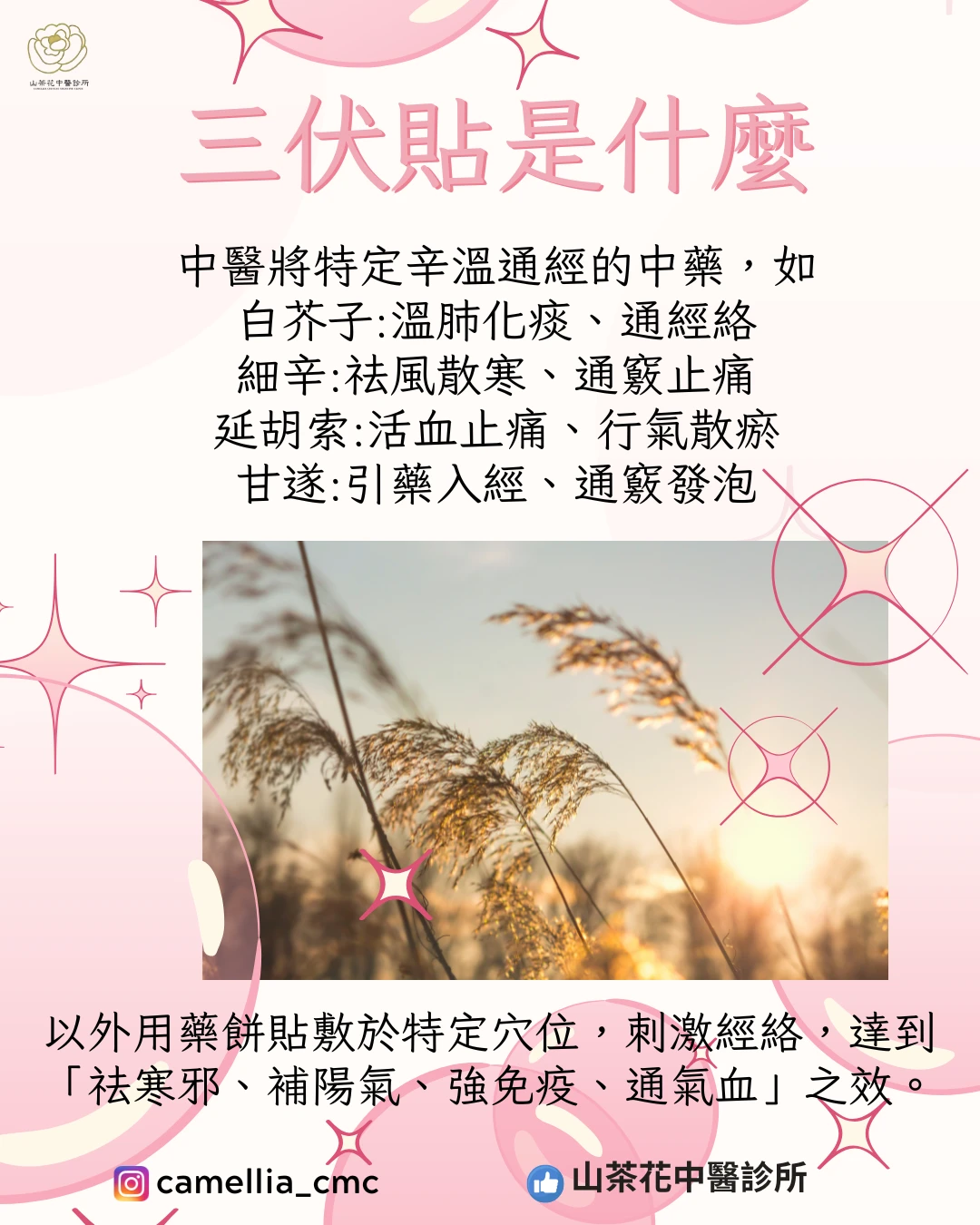 三伏貼