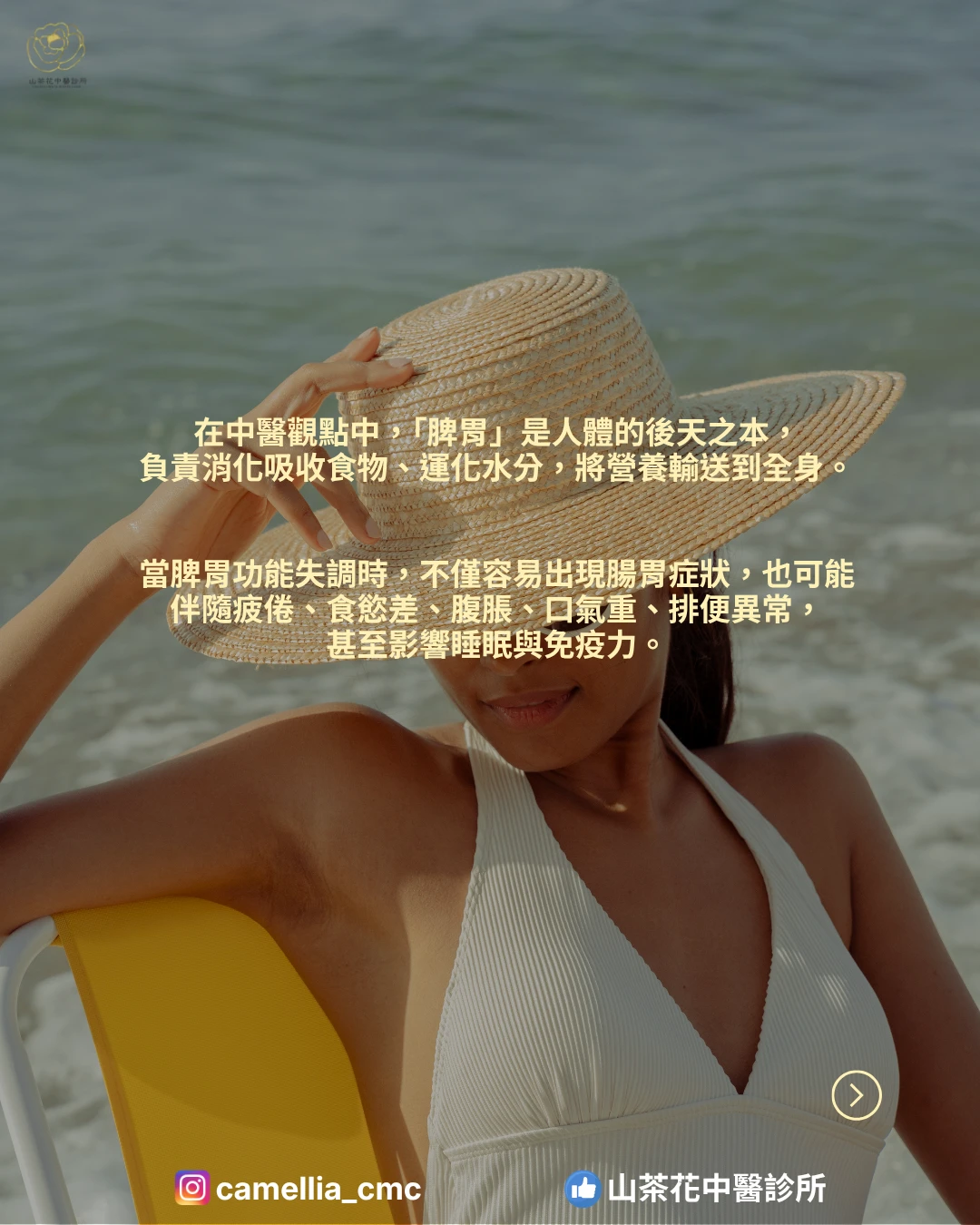 腸胃總是不舒服？中醫帶您找回健康的消化力