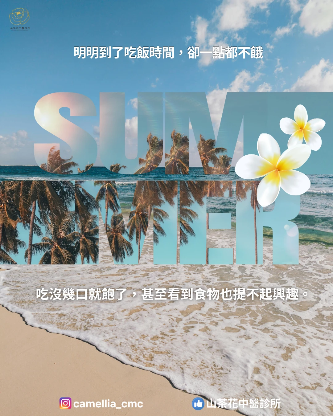 沒胃口、吃不下又容易累，中醫如何調理脾胃？