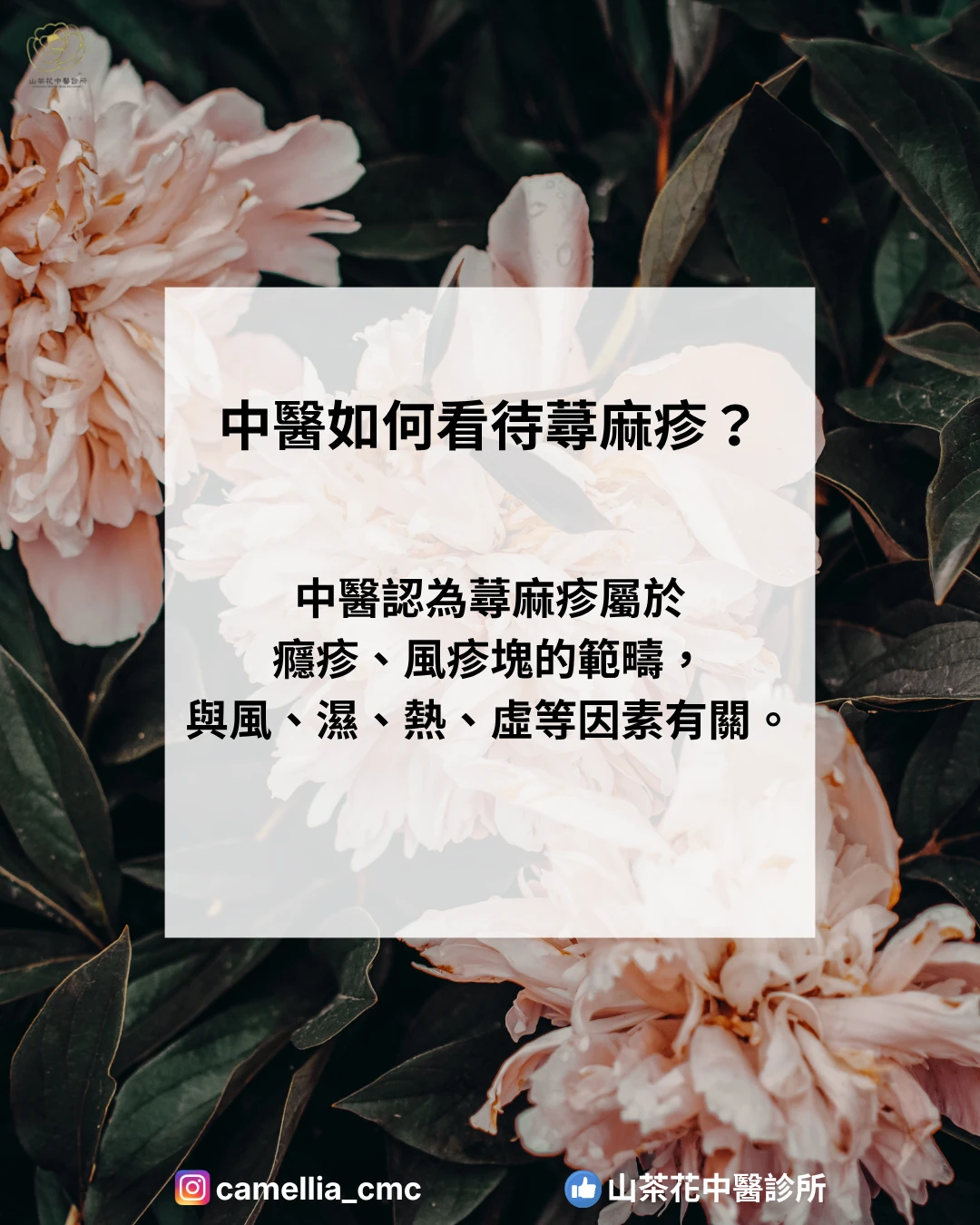 蕁麻疹反覆發作怎麼辦？中醫從體質調理改善過敏問題