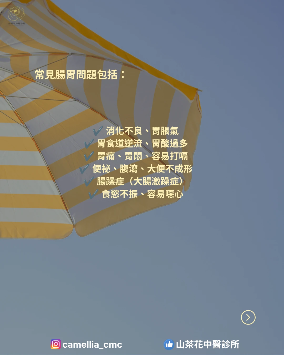 腸胃總是不舒服？中醫帶您找回健康的消化力