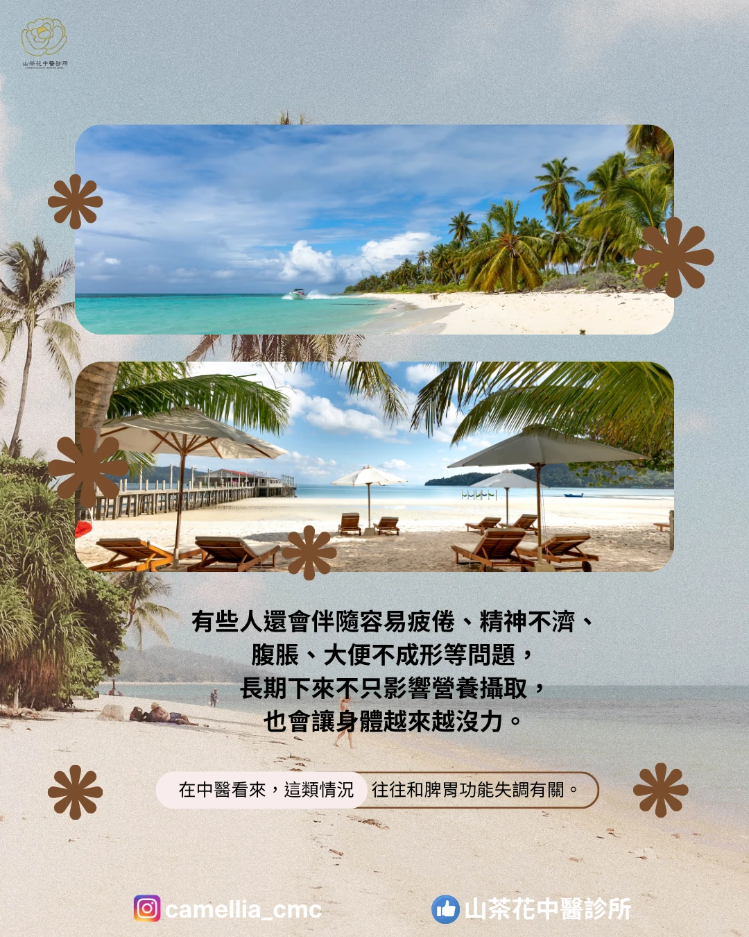 沒胃口、吃不下又容易累，中醫如何調理脾胃？