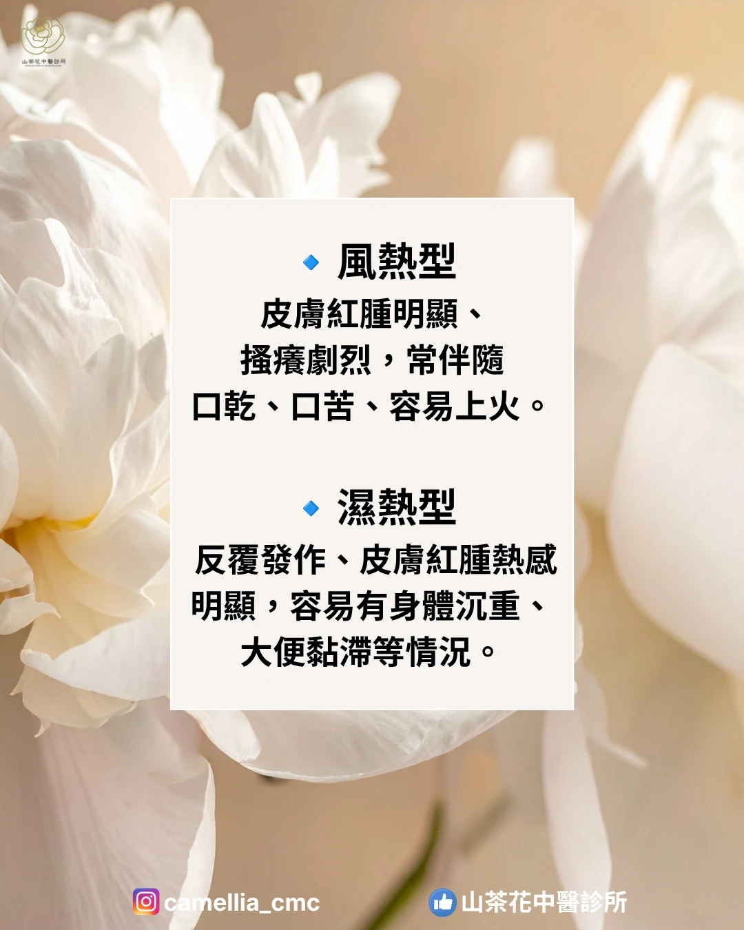蕁麻疹反覆發作怎麼辦？中醫從體質調理改善過敏問題