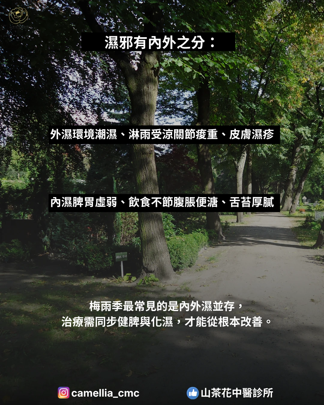 梅雨來了，你的身體變成「水球」了嗎？