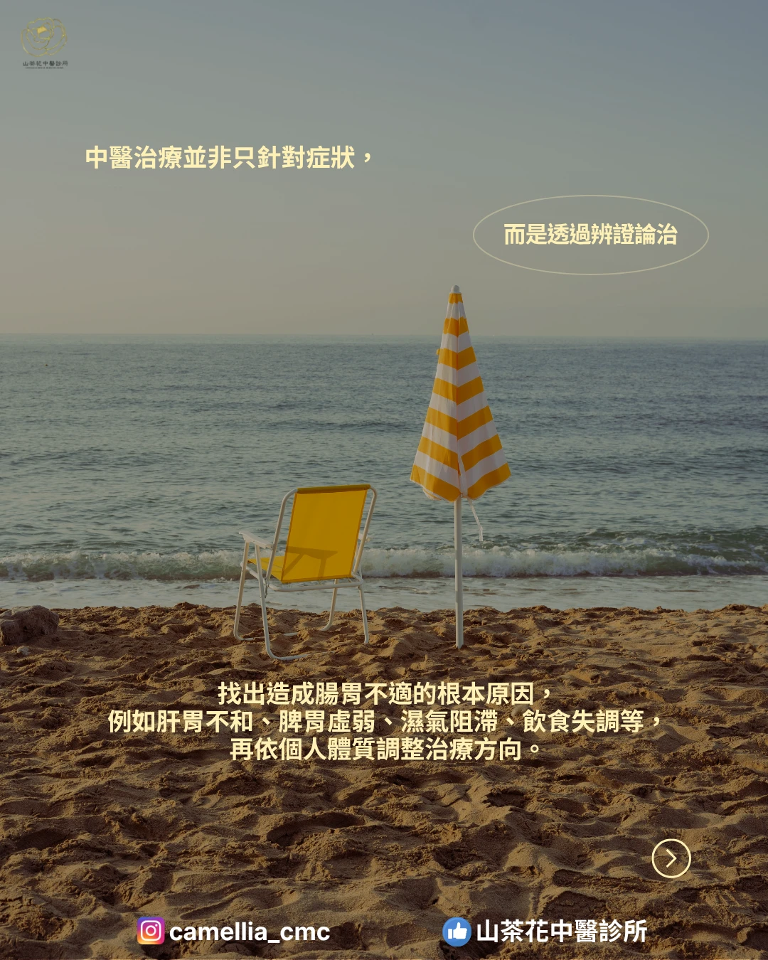 腸胃總是不舒服？中醫帶您找回健康的消化力