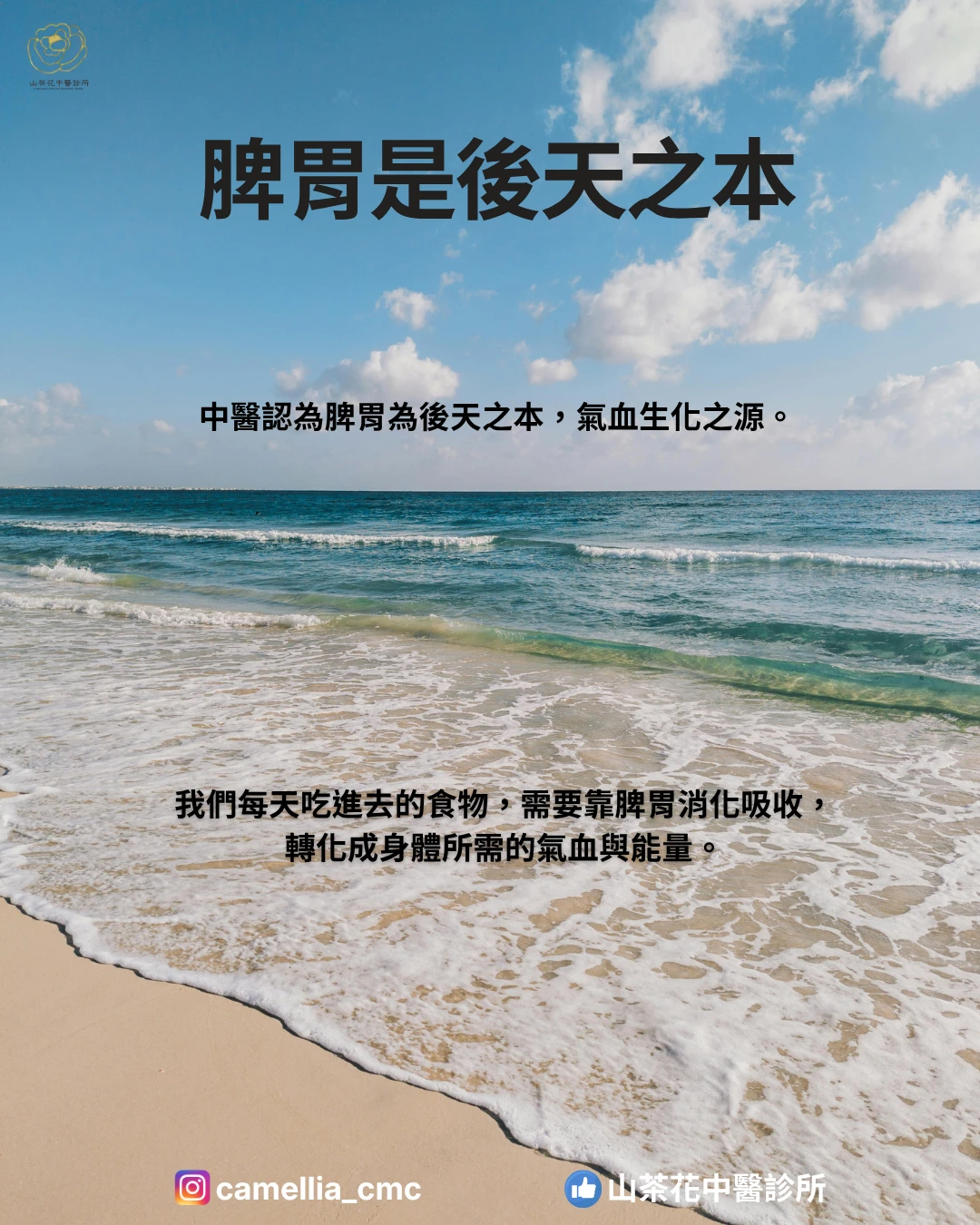 沒胃口、吃不下又容易累，中醫如何調理脾胃？