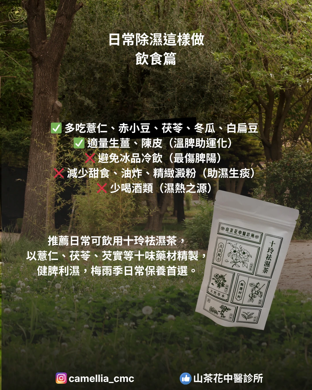 梅雨來了，你的身體變成「水球」了嗎？